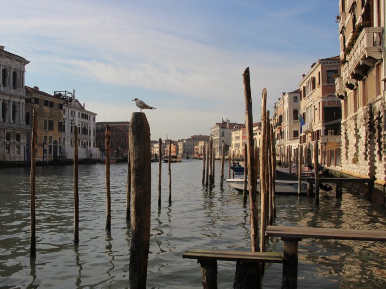 Venice, Canal Grande