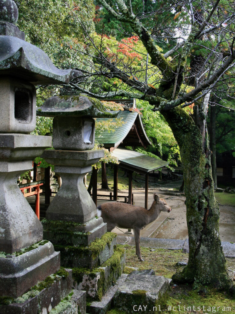 kyoto japan