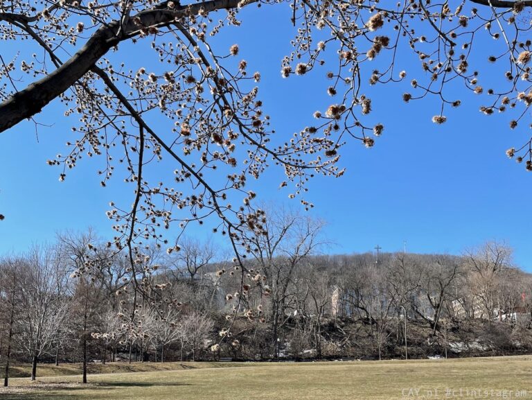 montreal parc